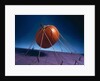 Tethered Pumpkin, 1996 by Norman Hollands