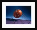 Tethered Pumpkin, 1996 by Norman Hollands