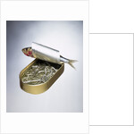 Sardine Can Inversion, 1997 by Norman Hollands