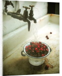 Washing cherries, 1988 by Norman Hollands