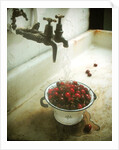 Washing cherries, 1988 by Norman Hollands