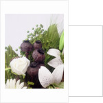 Seed pod Bouquet, 1999 by Norman Hollands