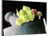 Romanescu in granite pestle & mortar, 2001 by Anonymous