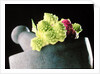 Romanescu in granite pestle & mortar, 2001 by Anonymous