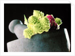 Romanescu in granite pestle & mortar, 2001 by Anonymous