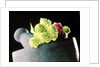 Romanescu in granite pestle & mortar, 2001 by Anonymous