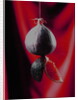 Fig on a string with segments, 2003 by Norman Hollands