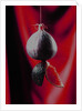 Fig on a string with segments, 2003 by Norman Hollands