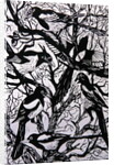 Magpies, 1997 by Nat Morley