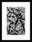 Magpies, 1997 by Nat Morley