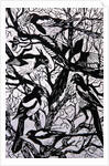 Magpies, 1997 by Nat Morley