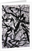 Magpies, 1997 by Nat Morley