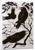 Ravens, 1998 by Nat Morley