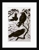 Ravens, 1998 by Nat Morley
