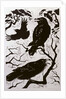 Ravens, 1998 by Nat Morley