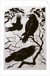 Ravens, 1998 by Nat Morley
