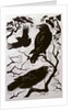 Ravens, 1998 by Nat Morley