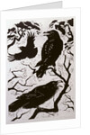 Ravens, 1998 by Nat Morley