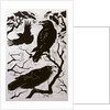 Ravens, 1998 by Nat Morley