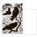 Ravens, 1998 by Nat Morley