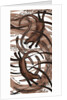 Otter with Eel, 2013 by Nat Morley