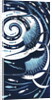 Sailfish, 2013 by Nat Morley