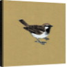 Sparrow, 2013 by Nat Morley