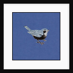 Sparrow, 2013 by Nat Morley
