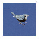 Sparrow, 2013 by Nat Morley