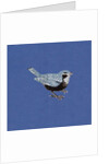 Sparrow, 2013 by Nat Morley