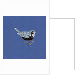 Sparrow, 2013 by Nat Morley