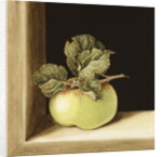 Apple by Jenny Barron