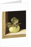 Apple by Jenny Barron
