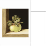 Apple by Jenny Barron