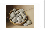 Bowl of Pebbles, 2005 by Jenny Barron