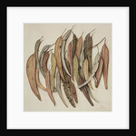 Eucalyptus Leaves, 2004 by Jenny Barron