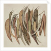 Eucalyptus Leaves, 2004 by Jenny Barron