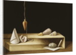 Optical Illusion, 2005 by Jenny Barron