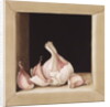 Garlic, 2005 by Jenny Barron