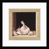 Garlic, 2005 by Jenny Barron