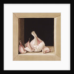 Garlic, 2005 by Jenny Barron