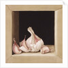 Garlic, 2005 by Jenny Barron