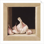 Garlic, 2005 by Jenny Barron