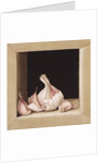 Garlic, 2005 by Jenny Barron