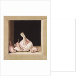 Garlic, 2005 by Jenny Barron