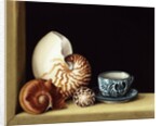 Still life with Nautilus, 1998 by Jenny Barron