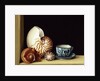 Still life with Nautilus, 1998 by Jenny Barron