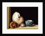 Still life with Nautilus, 1998 by Jenny Barron