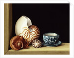 Still life with Nautilus, 1998 by Jenny Barron