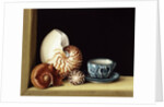 Still life with Nautilus, 1998 by Jenny Barron